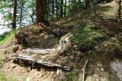 2. chalchera_uina_dadaint1